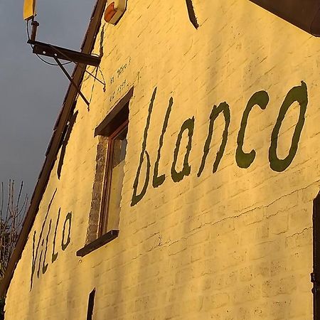 Opwijk Villa Blanco מראה חיצוני תמונה